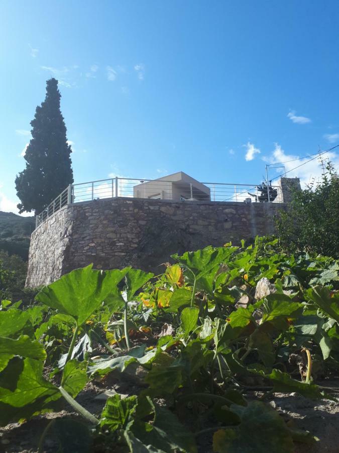 Villa Irini - Cretan Luxury Villa With Amazing View Paraspori  Exterior foto